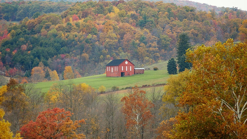 オハイオ州の農場の秋、納屋、秋、農場、牧草地、森 高画質の壁紙