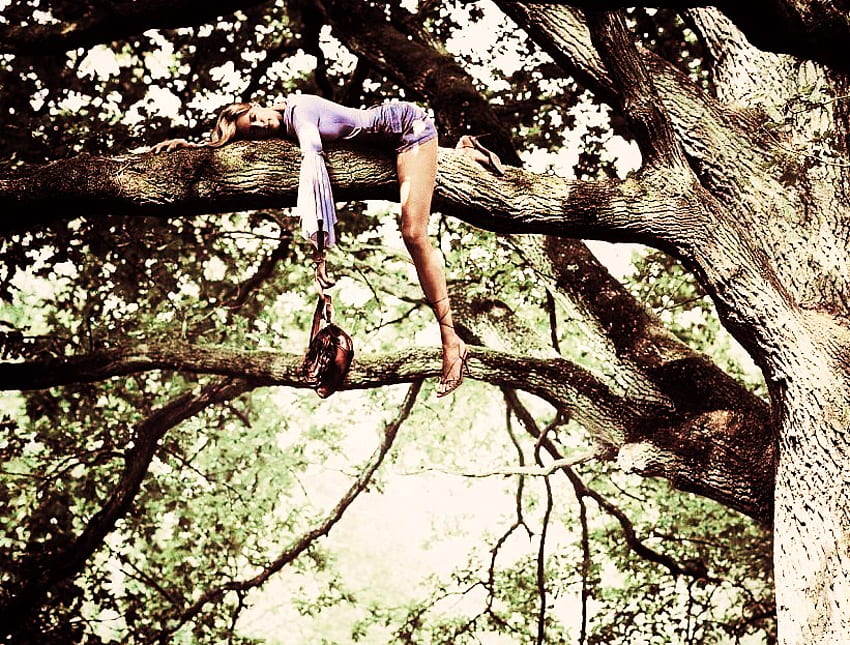 ขึ้นต้นไม้ หญิงหลับ อาถรรพ์ ชุดม่วง กิ่งไม้ กระเป๋าเงิน ต้นไม้ วอลล์เปเปอร์ HD