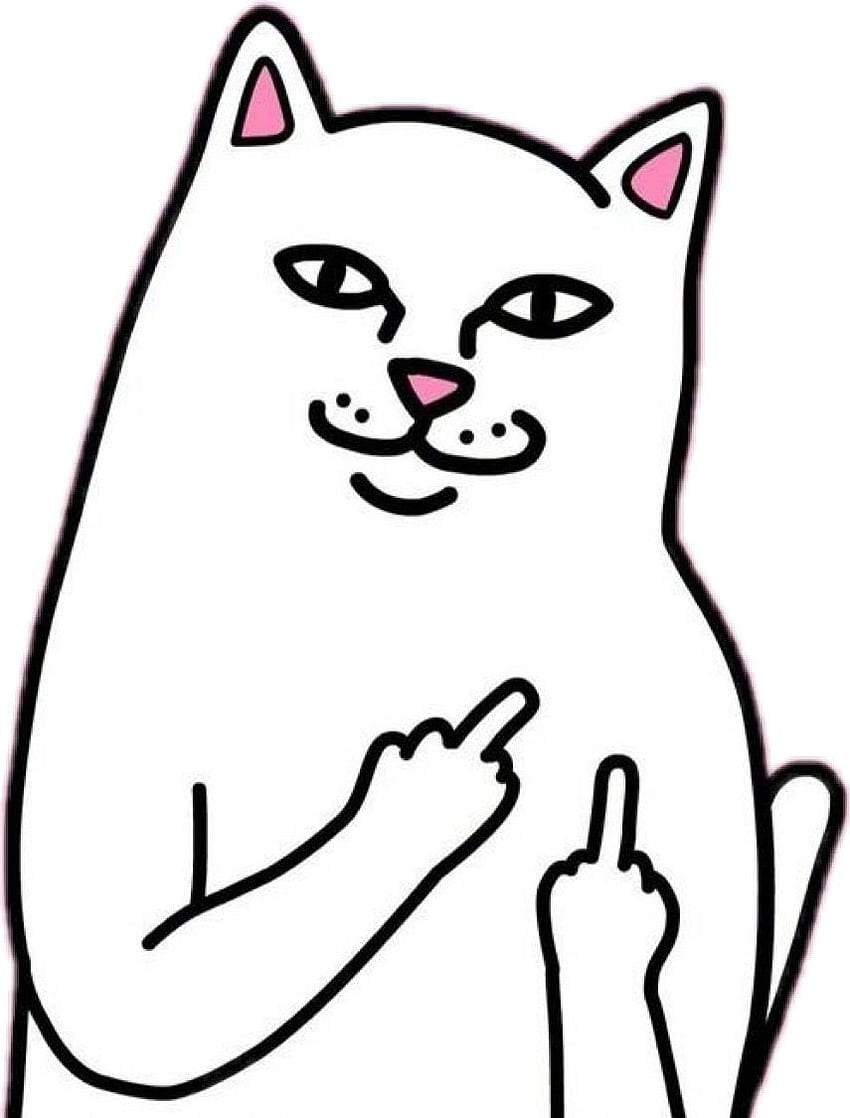 Cat Sticker With Middle Finger -, Cat Showing Middle Finger HD phone wallpaper