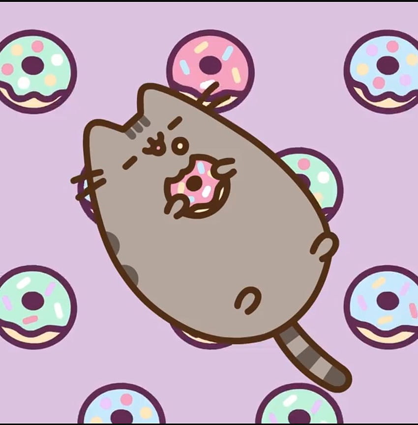 Pusheen and her donuts!. Pusheen cat, Pusheen cute, Pusheen, Animals Eating Donuts HD phone wallpaper