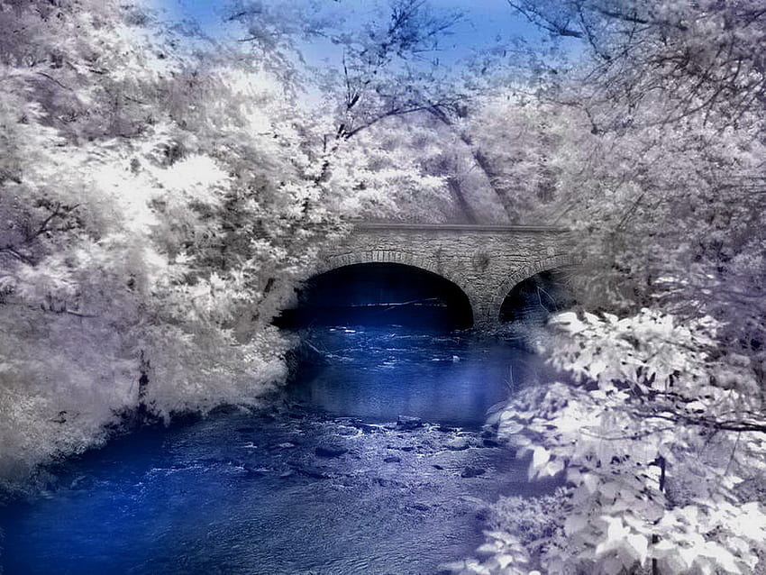 Puente de piedra de invierno, invierno, río, escarcha, frío, puente, piedra, agua fondo de pantalla