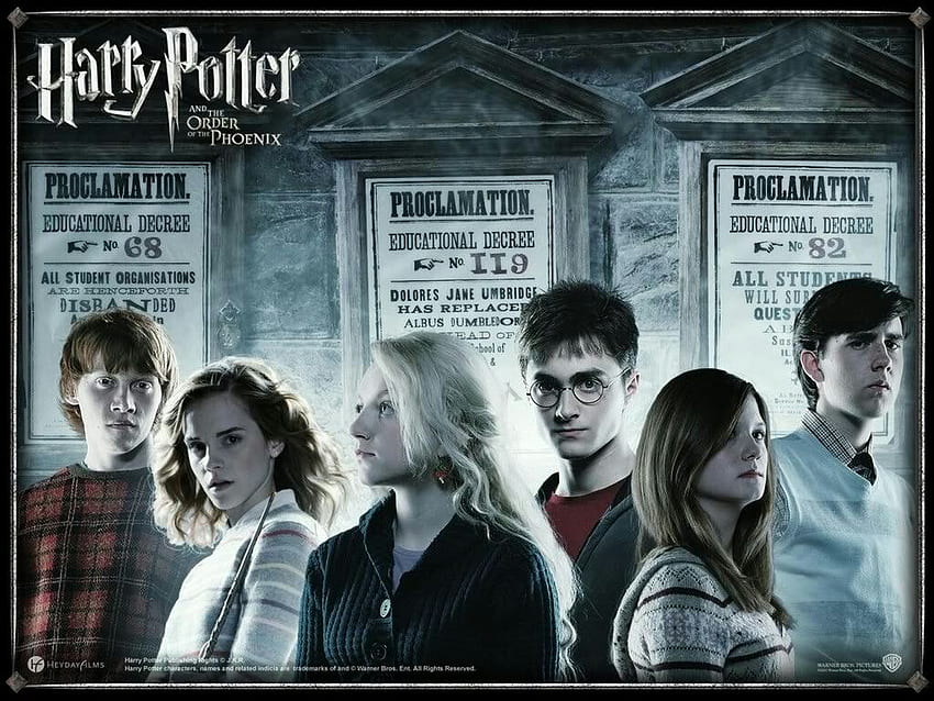 Dumbledore's Army, Dumbledore Harry Potter HD wallpaper