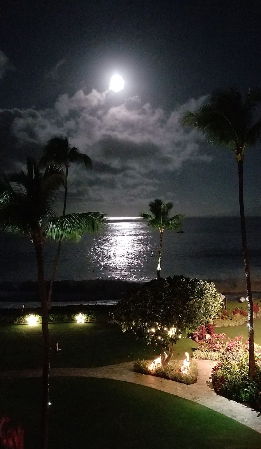 Noche iluminada por la luna con enormes olas rompiendo en la playa de Lahaina Maui, Hawaii. Playas de Hawaii, Playa de noche, Playa de Maui fondo de pantalla del teléfono