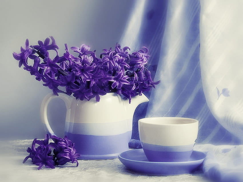 Harmonie, bleu, joli, beau, fleurs, tasse, jacinthe, agréable Fond d'écran HD