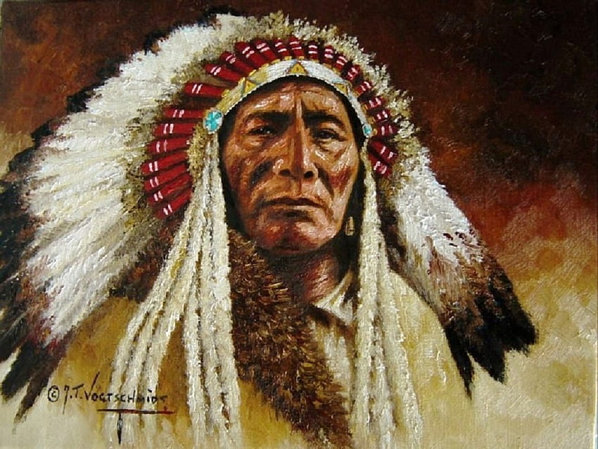 native american for large . Cool for me!, Native American Chief HD wallpaper