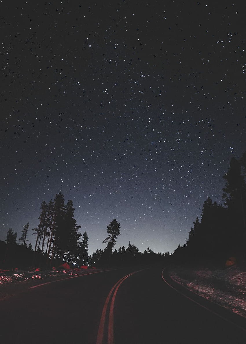 Alzando lo sguardo, strada deserta tra gli alberi sotto il cielo con - Viaggio su strada estetico notturno - - Sfondo del telefono HD