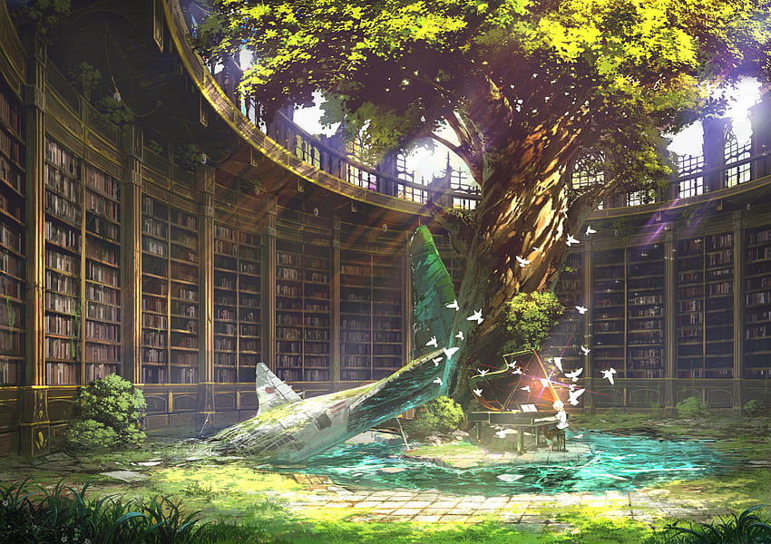 library , background, Magic Library HD wallpaper
