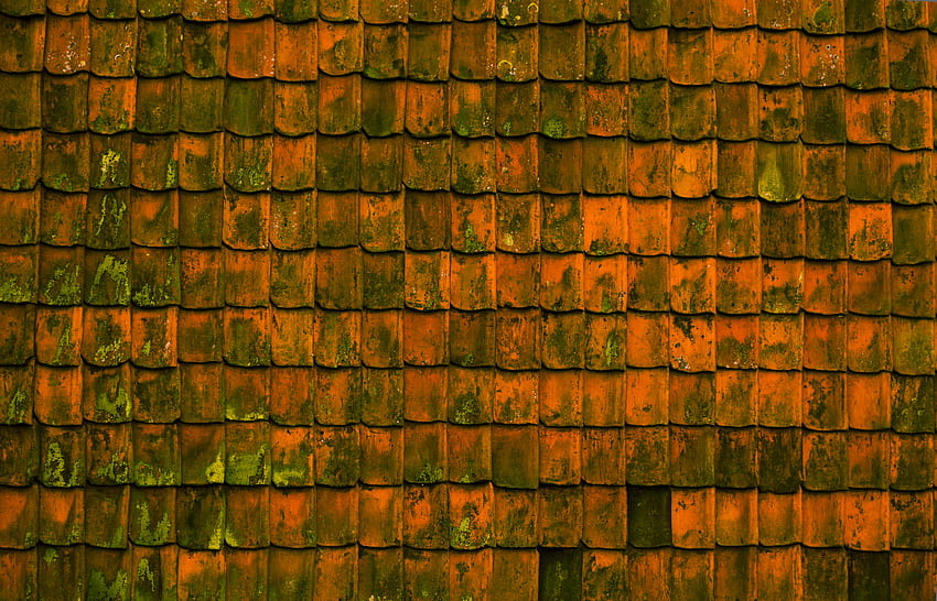 Texture, Textures, Surface, Stains, Spots, Roof HD wallpaper