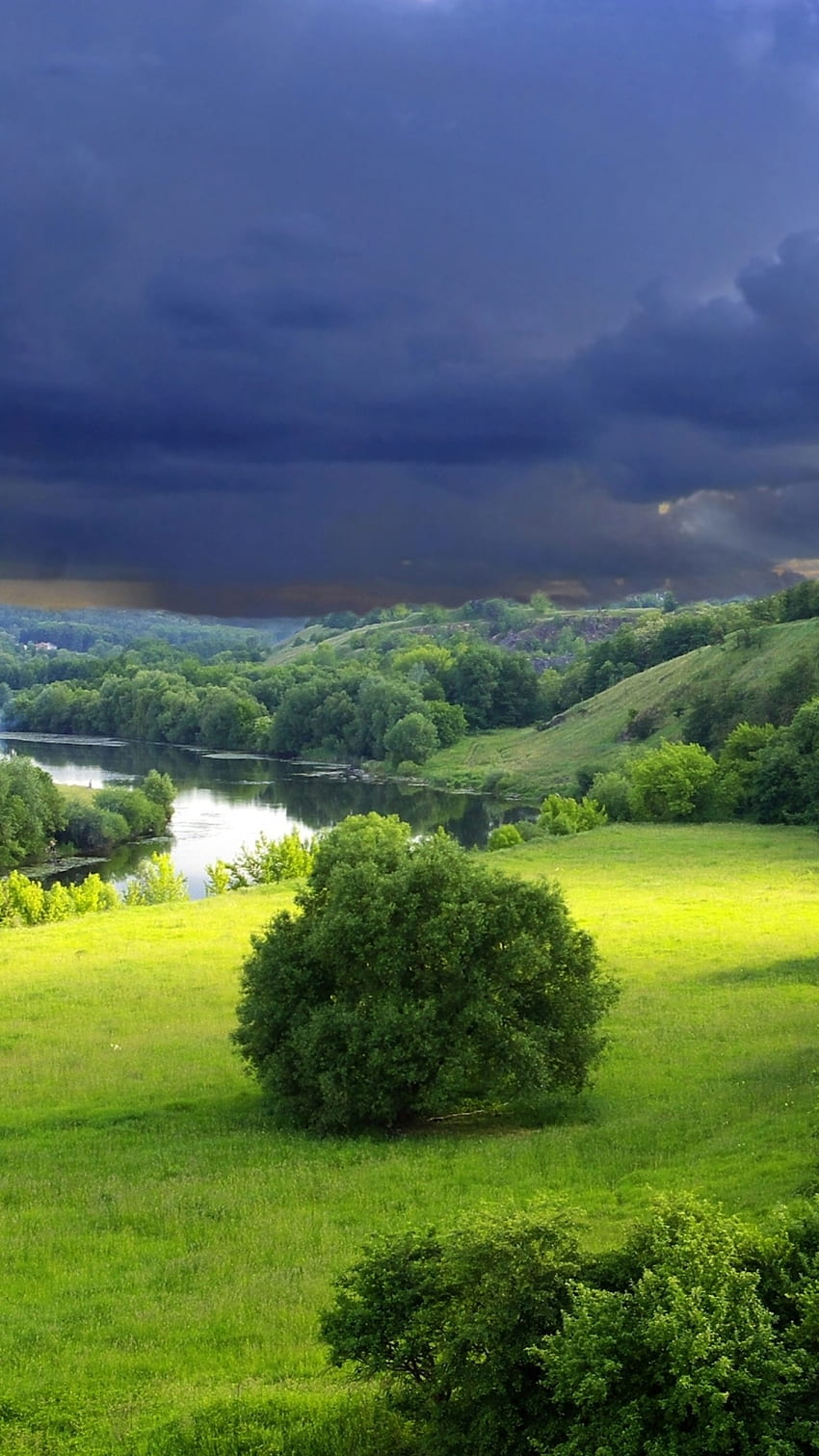 구름, 흐림, 하늘, 우울한, 회색, 덤불, 여름 HD 전화 배경 화면