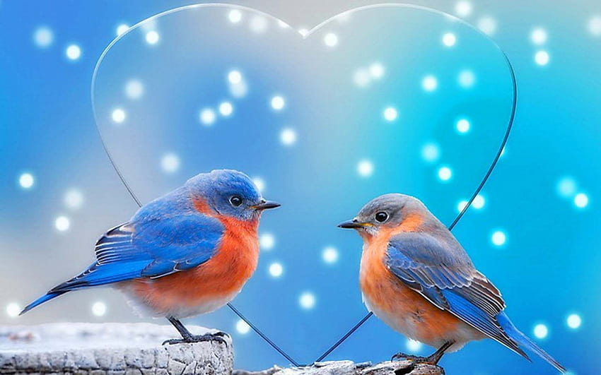 Telefon komórkowy Love BIRDS, Pink Love Birds Tapeta HD