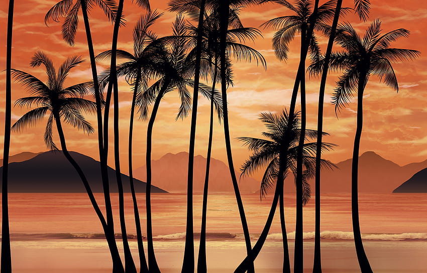 Scarface Tropical Endlos wiederholbar, Scarface Sonnenuntergang HD-Hintergrundbild