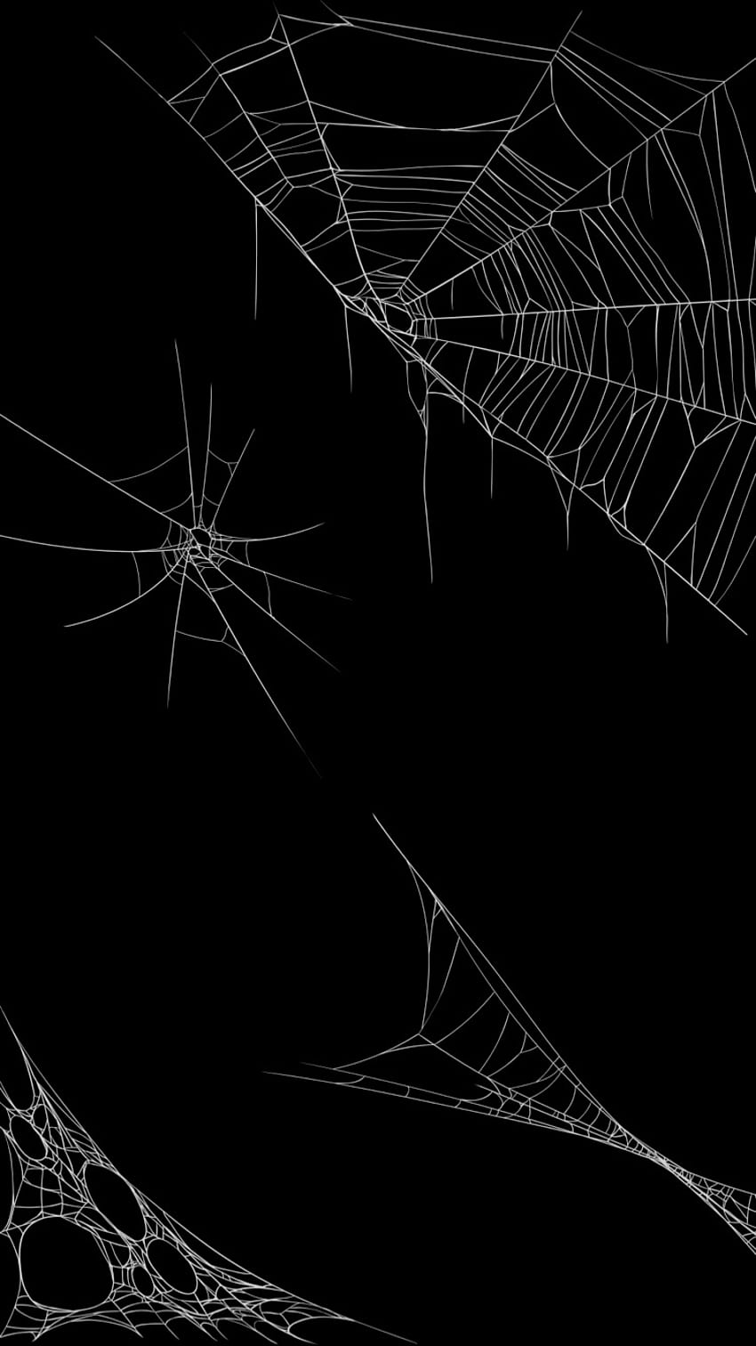 Cellphone Background / . .Cell Halloween Spookey Cute, Halloween Spider HD phone wallpaper