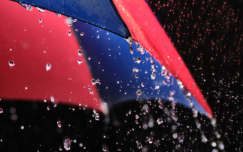 rain, umbrella, raindrops, colorful umbrella, rain concepts, water drops HD wallpaper