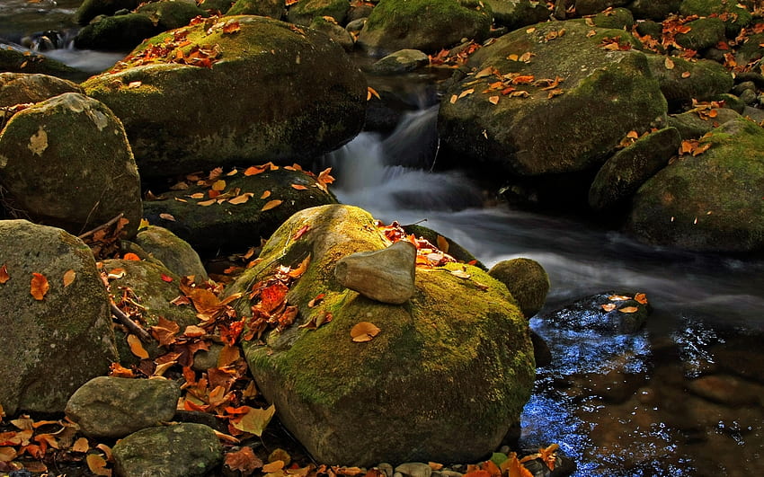 Pemandangan, Alam, Sungai, Batu, Musim Gugur Wallpaper HD