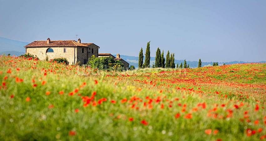 イタリアの風景。 ウォールソースUK。 イタリアの風景、イタリアの田舎、イタリアの田舎 高画質の壁紙