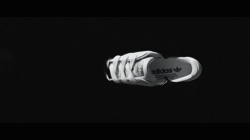 Adidas Superstar , collections HD wallpaper