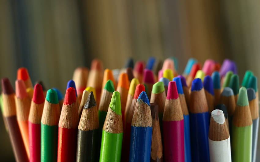 matite colorate, matite, varietà di concetti, matite diverse, educazione, matite, selezione dei colori Sfondo HD
