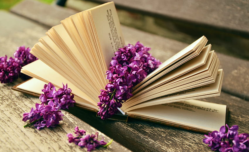 Lilac flowers lie on a book on a bench and - HD wallpaper
