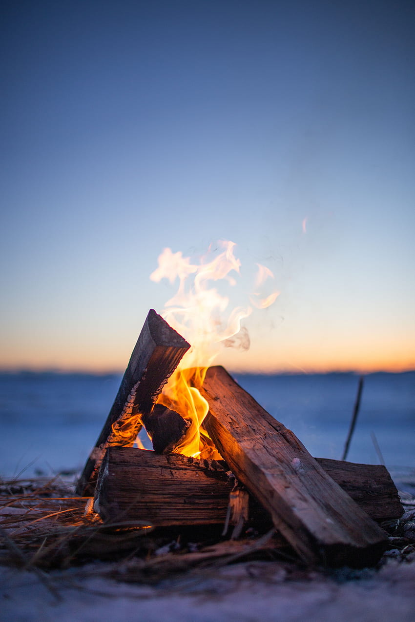 Fire, Bonfire, Flame, , , Evening, Firewood, Camping, Campsite HD phone wallpaper