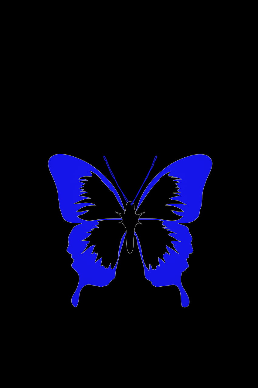 Dark, Minimalism, Butterfly HD phone wallpaper