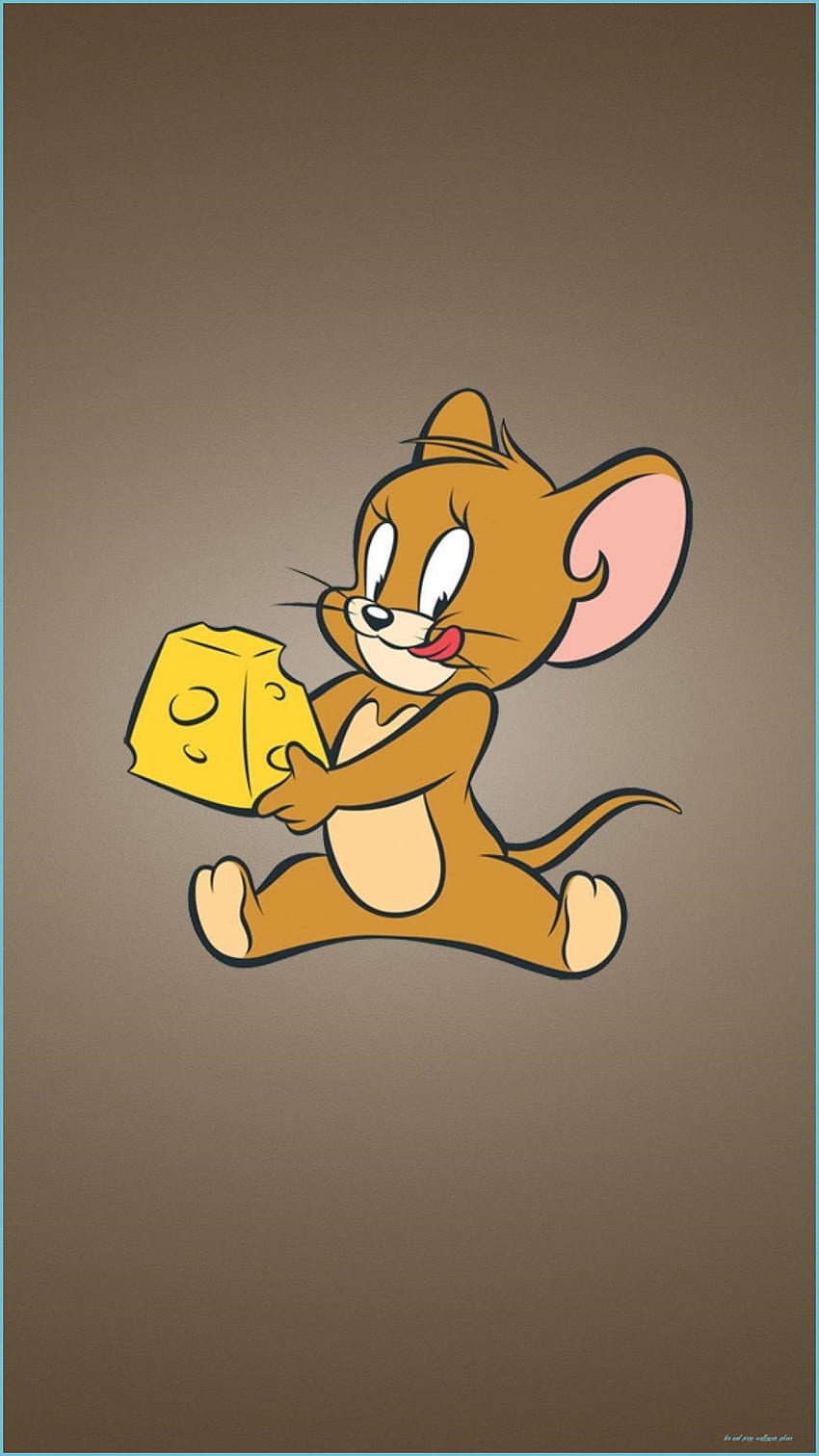 Features Of Tom And Jerry iPhone That Make, Aesthetic Tom and ...