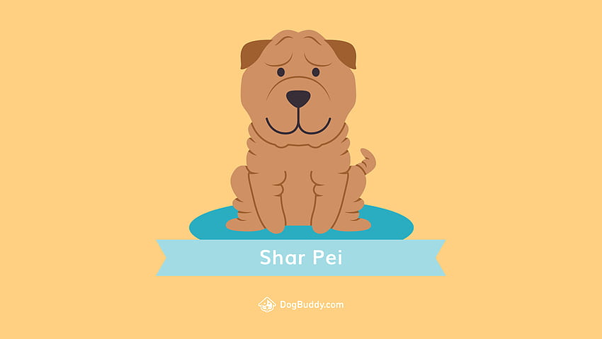 Woofpaper: Shar Pei HD wallpaper | Pxfuel