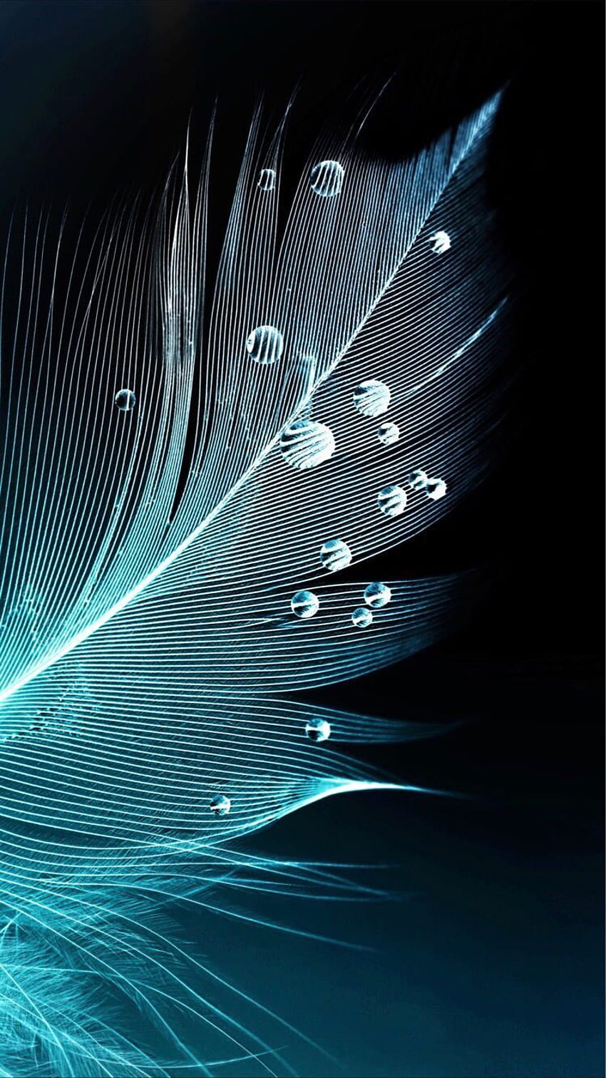 Blue Feather blue feather HD phone wallpaper  Peakpx