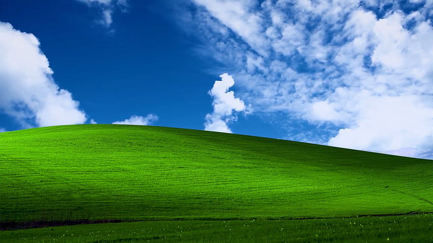 Steam Workshop::Microsoft Windows XP Bliss animé Fond d'écran HD