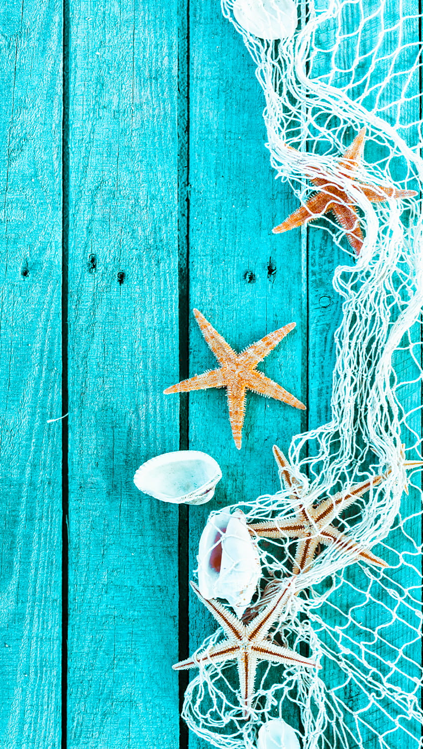 Ƒ↑KLIKNIJ I POBIERZ APLIKACJĘ! Art Creative Sea Star Blue Wood Shell iPhone 6. Papeis de parede, Papel de parede de verão, Papel de parede praia Tapeta na telefon HD