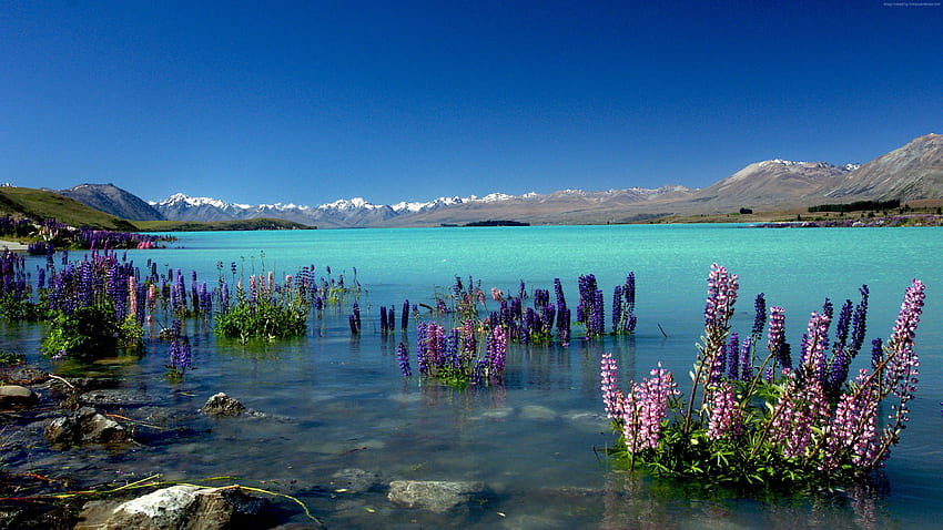 Lake Tekapo, New Zealand, mountains, , Travel HD wallpaper