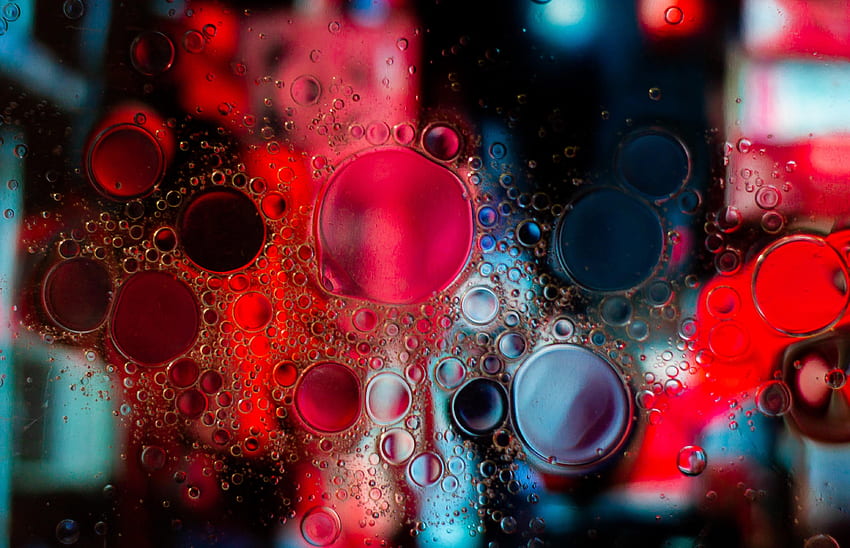 Abstract, Bubbles, Circles, Blurred, Fuzzy HD wallpaper