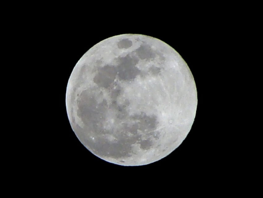 Heathers Wolf Moon, malam, purnama, bulan, manusia serigala Wallpaper HD