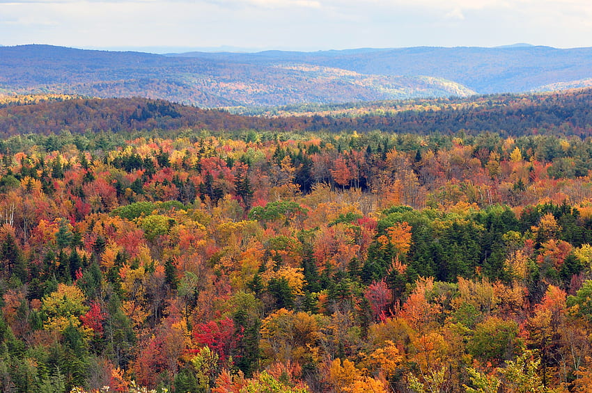 秋の紅葉をグラフ化するための初心者向けガイド - Duggal Visual、Mountain Fall Foliage 高画質の壁紙