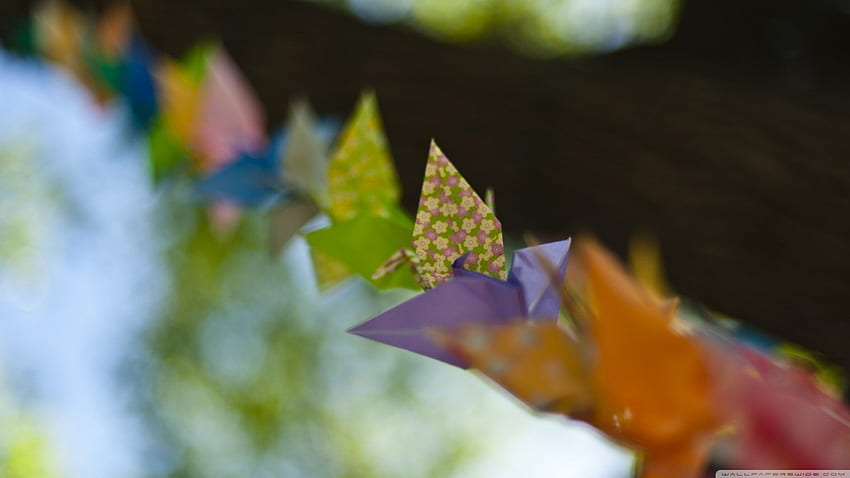 Origami berwarna, origami, ungu, warna, kertas, oranye Wallpaper HD