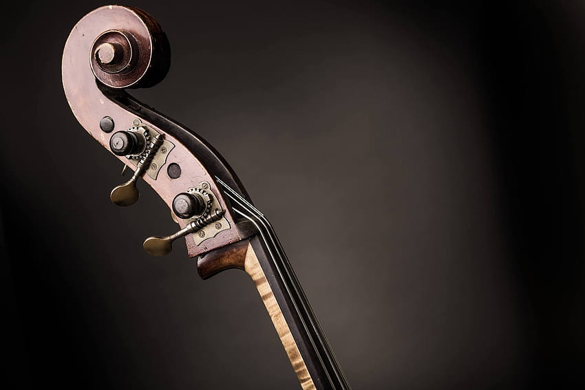 About Discover Double Bass HD wallpaper