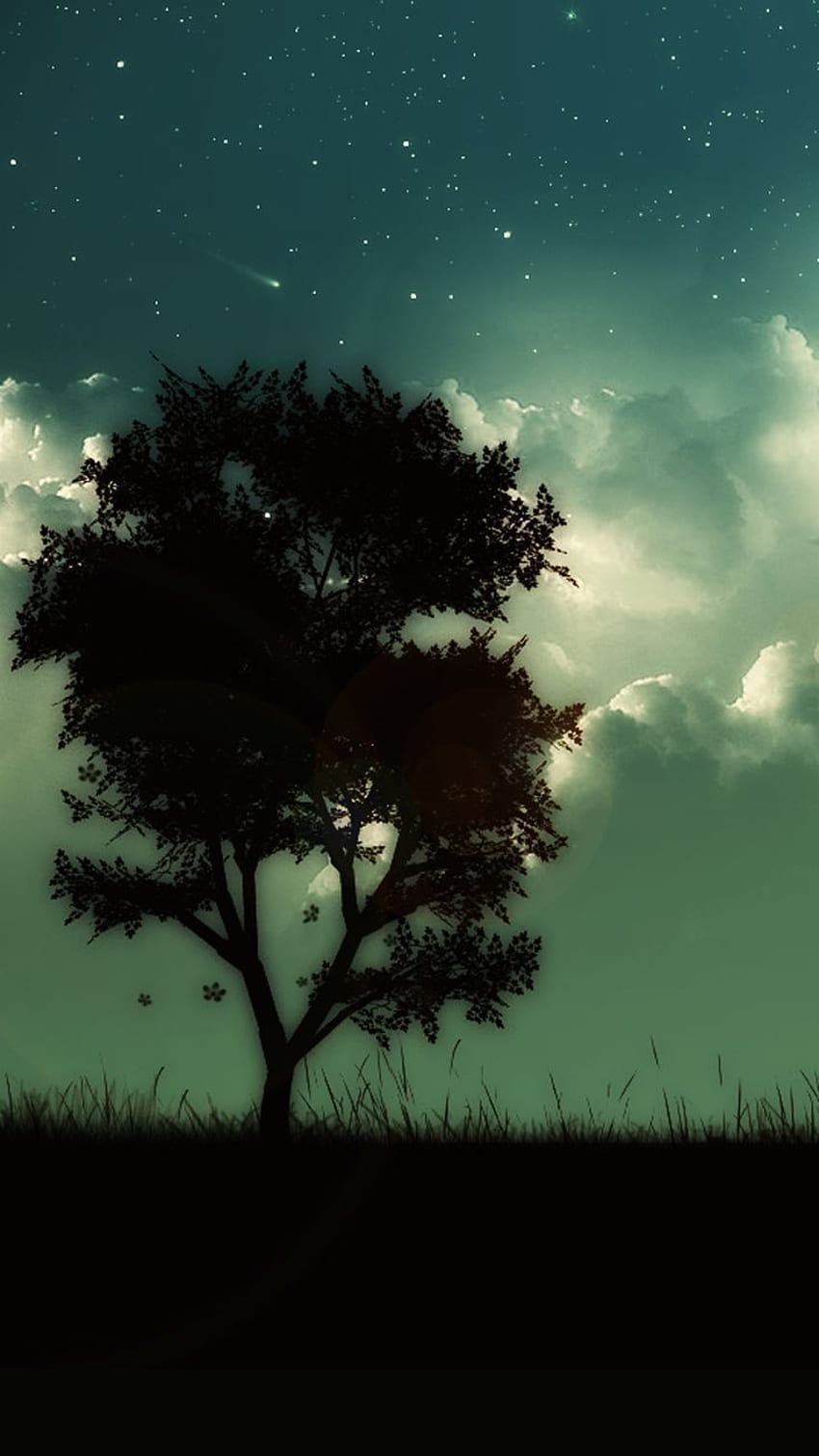 Natural Tree For Your Android IPhone. Cool For Phones, Skyscape, Dark Tree HD phone wallpaper