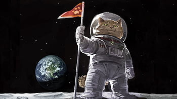 Humor earth cats cosmonauts space HD wallpapers | Pxfuel