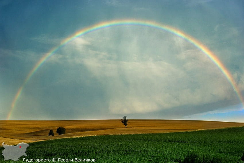 Rainbow Field, rainbow, field, green, bulgaria, gold, grpahy HD wallpaper