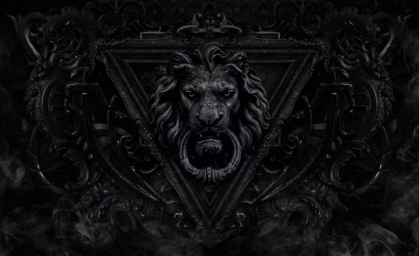 Lion muzzle, dark HD wallpaper