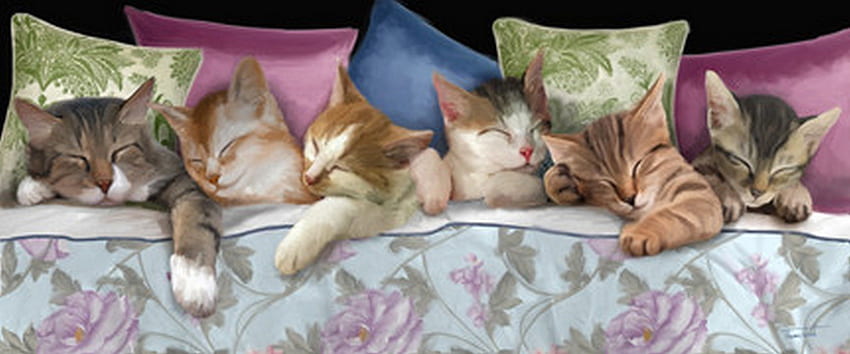 おやすみ、夜、猫、睡眠、子猫 高画質の壁紙