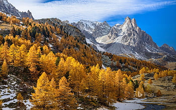 Autumn foliage, Schoenbrunn Palace, Vienna, Austria - Bing Wallpapers -  Sonu Rai