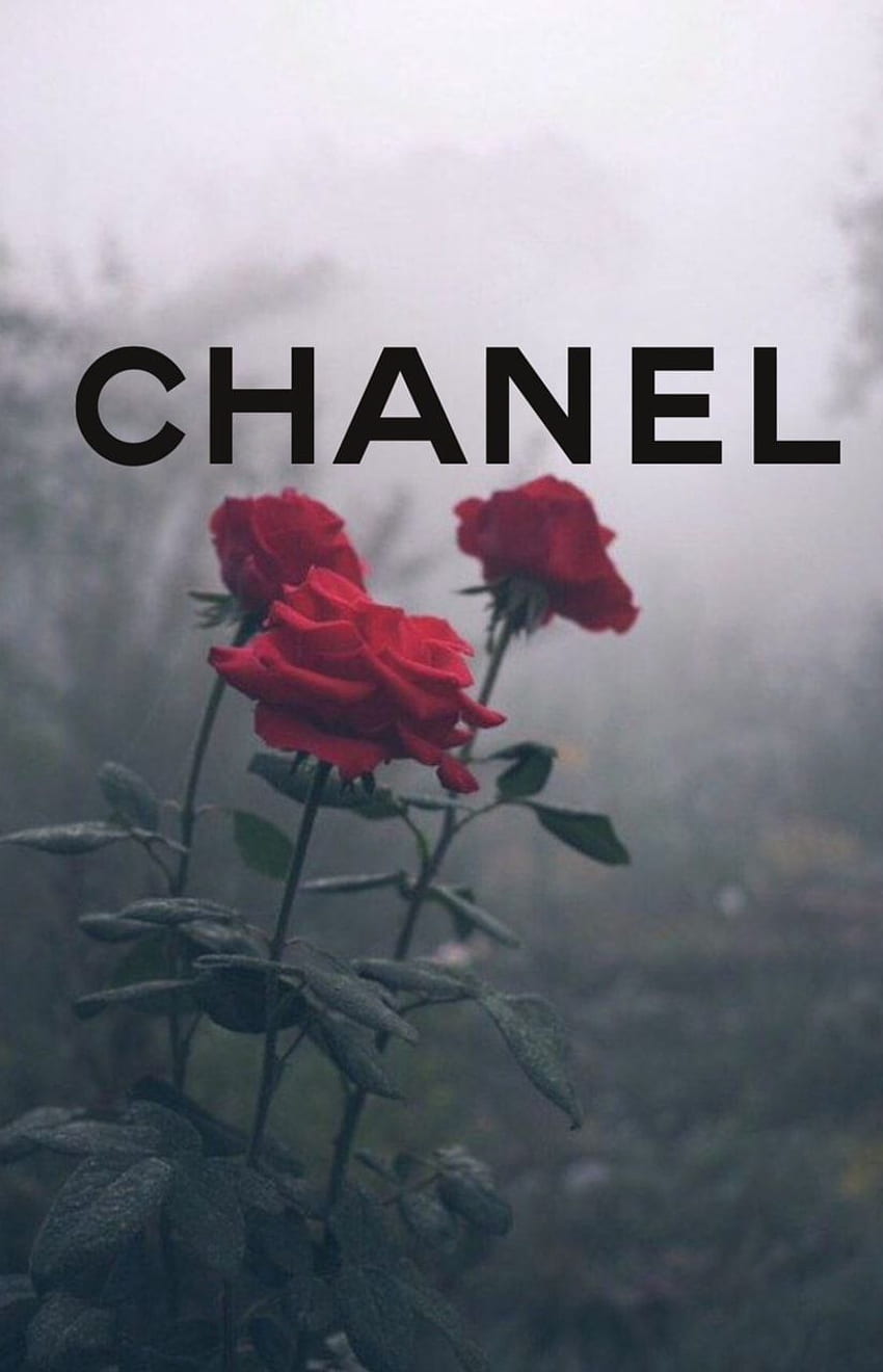 about Chanel, Chanel Roses HD phone wallpaper