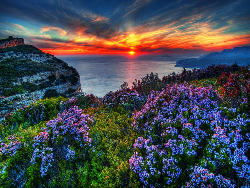 Amazing sunset, sea, colorful, coast, sundown, beautiful, rocks, mountain, lake, shore, reflection, cliffs, flower, nature, sky, amazing, sunset HD wallpaper
