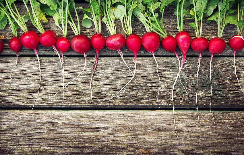 background, Board, radishes for , section еда - HD wallpaper