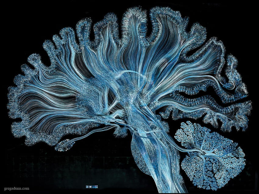 GREG DUNN NEURO ART – Визуално изкуство. Неврология Чл. Картина със златен лист HD тапет