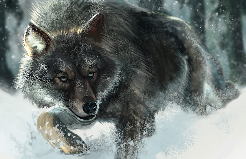 Wolf, animal, winter, art, painting, fantasy, pictura, iarna, luminos ...