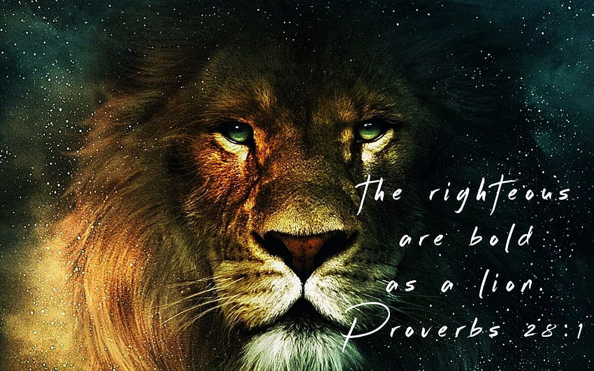Proverbi 28:1 Il giusto è audace come un leone. Leone, come un leone, Proverbi 28, Bibbia della motivazione del leone Sfondo HD