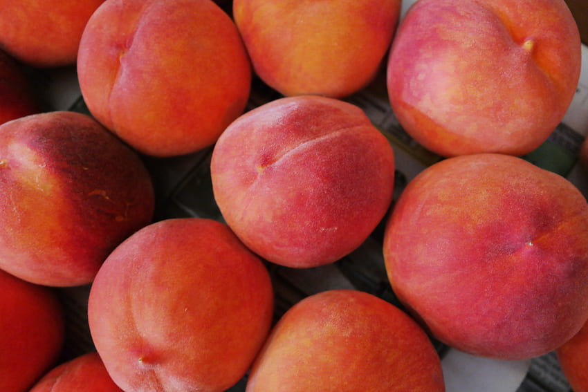 Fruits, Food, Peaches, Ripe HD wallpaper