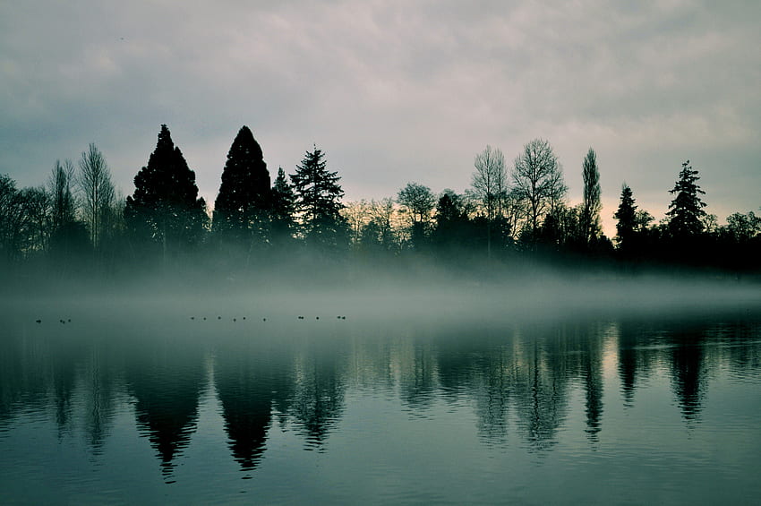 Природа, реки, дървета, отражение, мъгла HD тапет