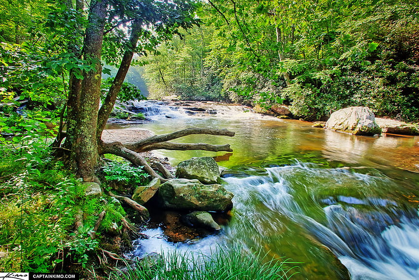 Северна Каролина Крийк, рекичка, клони, дървета, Северна Каролина, природа, трева, скали HD тапет